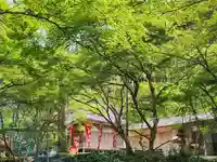 小新屋観音のその他建物