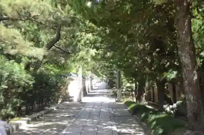 建仁寺（建仁禅寺）(京都府)