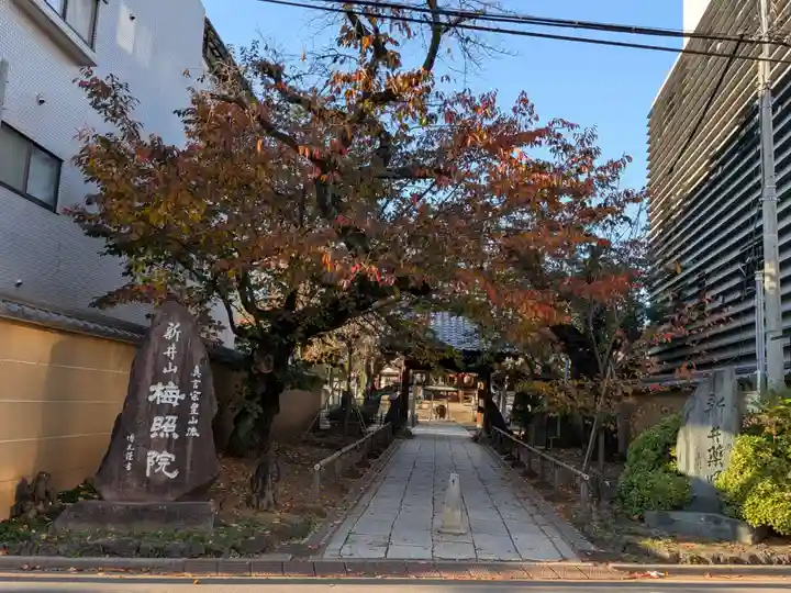 新井薬師(梅照院)(東京都)