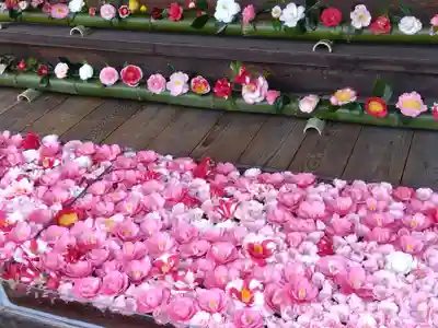 霊鑑寺門跡(京都府)