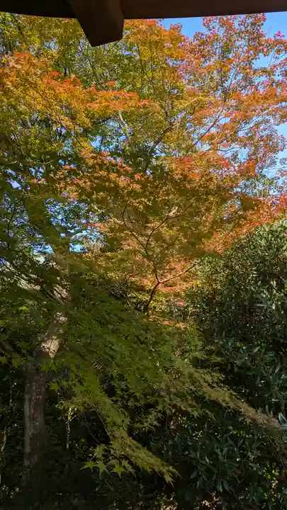法金剛院(京都府)