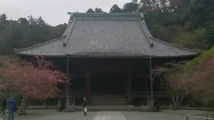 妙本寺の{uncategorized: "未分類", other: "その他", undefined: "問題あり", building: "その他建物", grave: "お墓", sacred_gate: "鳥居", guardian: "狛犬", statue: "像", buddha: "仏像", history: "歴史", nature: "自然", garden: "庭園", animal: "動物", pagoda: "塔", temizu: "手水舎", mountain_gate: "山門・神門", sanctuary: "本殿・本堂", subordinate: "末社・摂社", art: "芸術", scenery: "景色", jizo: "地蔵", ema: "絵馬", goshuin: "御朱印", omikuji: "おみくじ", items: "授与品その他", amulet: "お守り", goshuincho: "御朱印帳", eats: "食事", festival: "お祭り", votive_dance: "神楽", shichigosan: "七五三参", wedding: "結婚式", experience: "体験その他", initially: "初詣", around: "周辺", anti_infection: "感染症対策"}