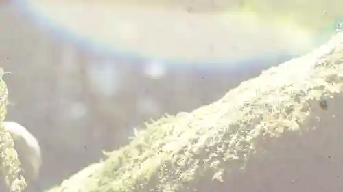 詩仙堂（丈山寺）(京都府)