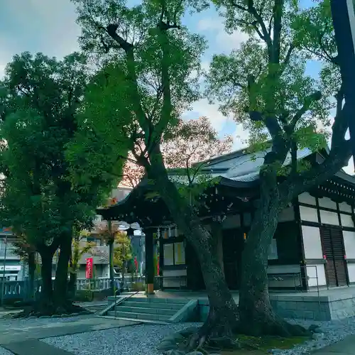 橘樹神社の本殿・本堂
