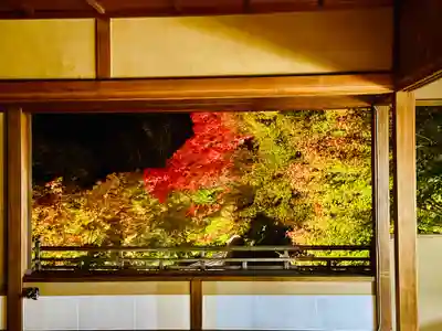 光明寺瑠璃光院(京都府)