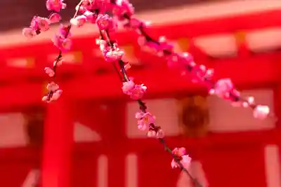 北野天満宮(京都府)