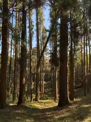 大杉神社の周辺