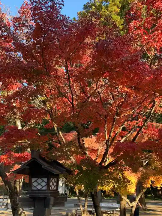 武田神社(山梨県)