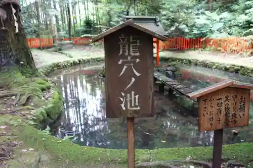 石山寺の自然