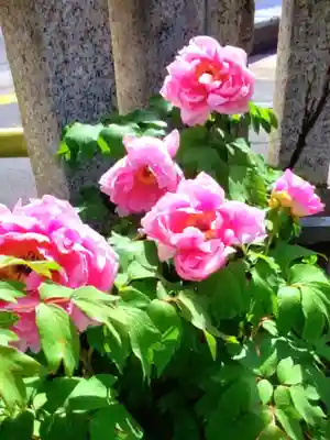 常性寺(東京都)