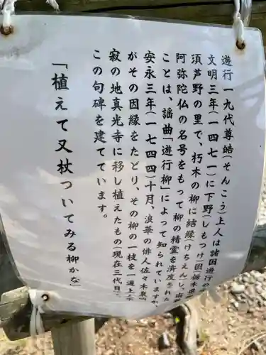 真光寺(兵庫県)