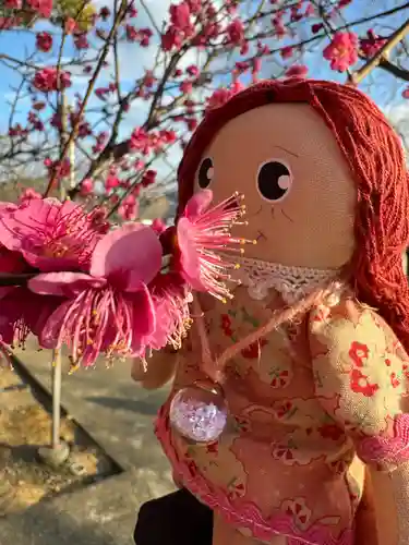 賀茂別雷神社(栃木県)