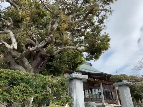 海福寺のその他建物
