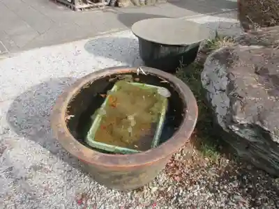 長泉院(埼玉県)