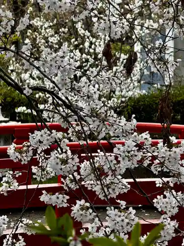 六孫王神社(京都府)