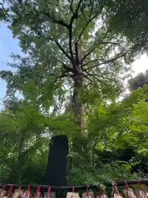 七社神社(東京都)