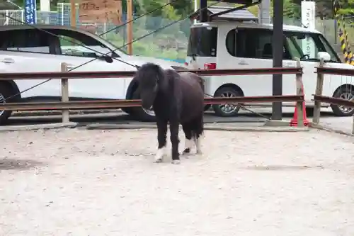丹生川上神社（下社）(奈良県)