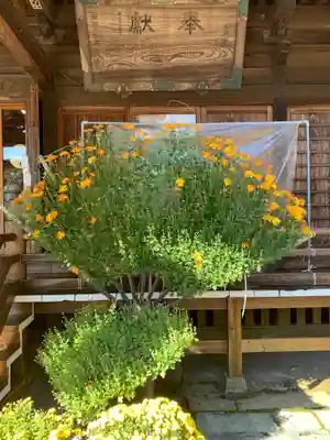 常陸第三宮　吉田神社の本殿・本堂