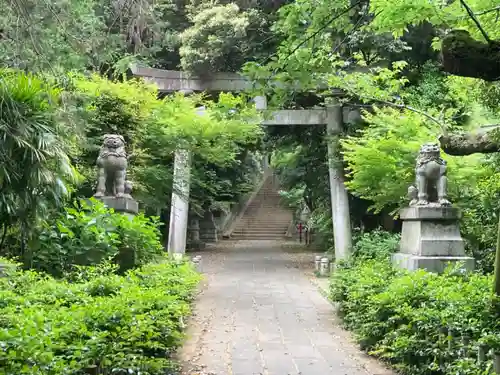 赤坂氷川神社の鳥居