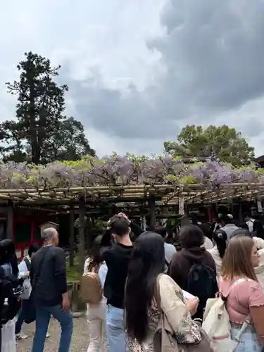 春日大社(奈良県)