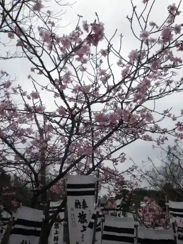 鶴岡八幡宮の庭園