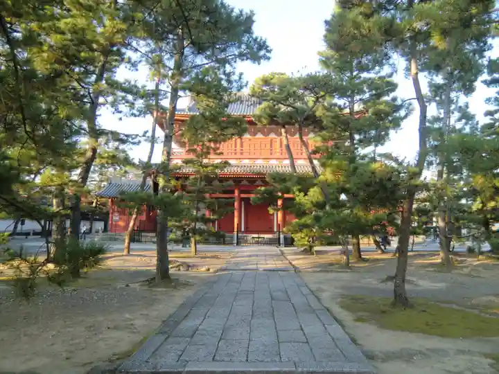 妙心寺(妙心禅寺)(京都府)