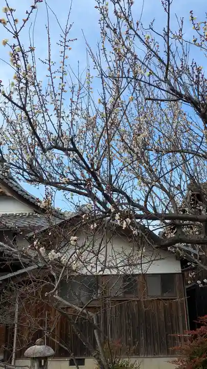 遍照寺(滋賀県)