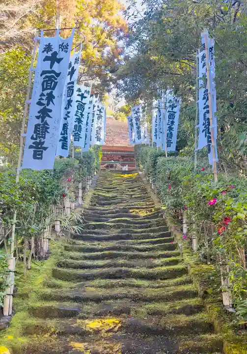 杉本寺の自然