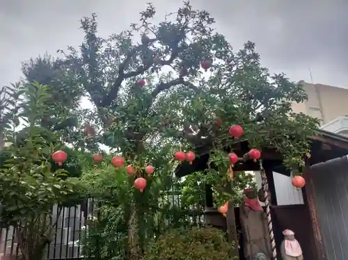 龍泉院(東京都)