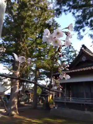 春日神社(新潟県)