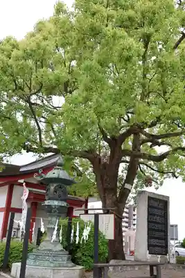 水戸東照宮(茨城県)