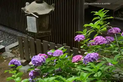 伊勢山皇大神宮(神奈川県)