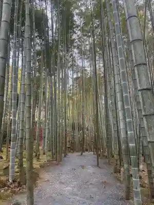 圓光寺の{uncategorized: "未分類", other: "その他", undefined: "問題あり", building: "その他建物", grave: "お墓", sacred_gate: "鳥居", guardian: "狛犬", statue: "像", buddha: "仏像", history: "歴史", nature: "自然", garden: "庭園", animal: "動物", pagoda: "塔", temizu: "手水舎", mountain_gate: "山門・神門", sanctuary: "本殿・本堂", subordinate: "末社・摂社", art: "芸術", scenery: "景色", jizo: "地蔵", ema: "絵馬", goshuin: "御朱印", omikuji: "おみくじ", items: "授与品その他", amulet: "お守り", goshuincho: "御朱印帳", eats: "食事", festival: "お祭り", votive_dance: "神楽", shichigosan: "七五三参", wedding: "結婚式", experience: "体験その他", initially: "初詣", around: "周辺", anti_infection: "感染症対策"}