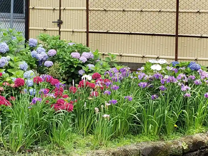 磐井神社(東京都)