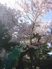 菊田神社の自然