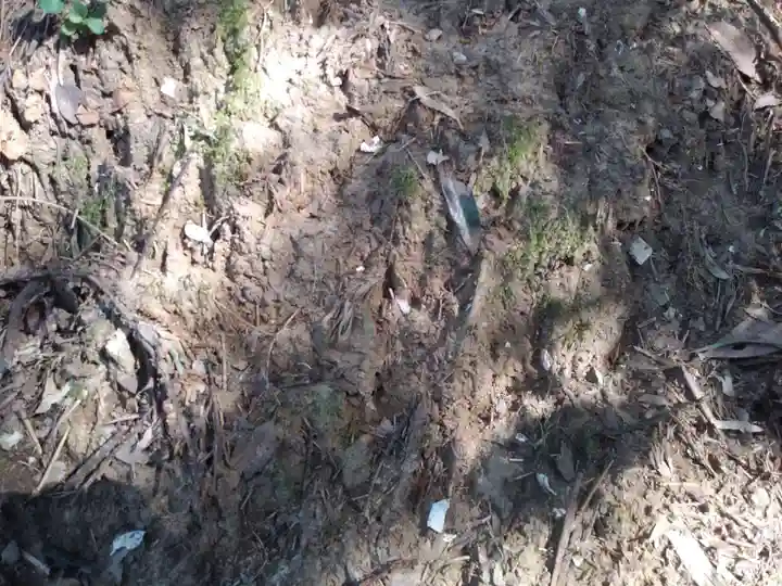 御嶽神社/駒形神社の自然