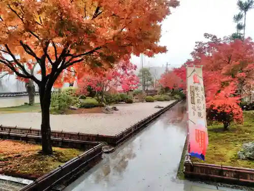 青苔寺の庭園