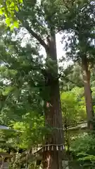 丹生川上神社（中社）(奈良県)