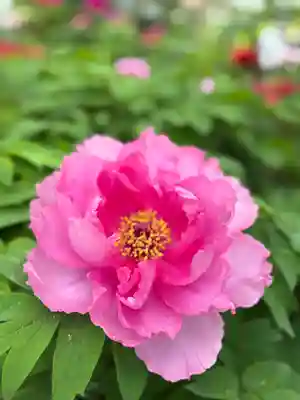 薬師院(兵庫県)