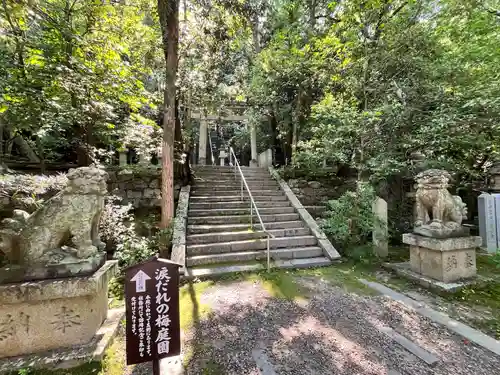 美具久留御魂神社(大阪府)