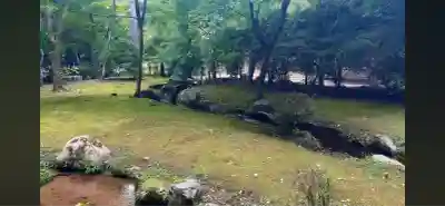 賀茂別雷神社（上賀茂神社）(京都府)