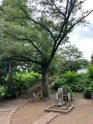 正福寺(茨城県)