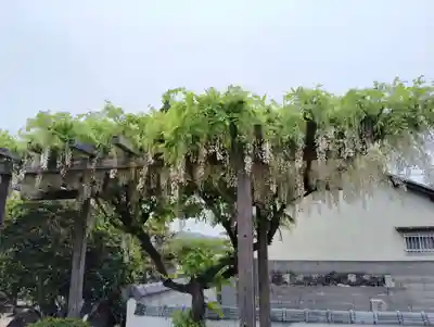 蓮休寺(岡山県)