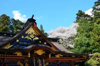 大崎八幡宮の本殿・本堂
