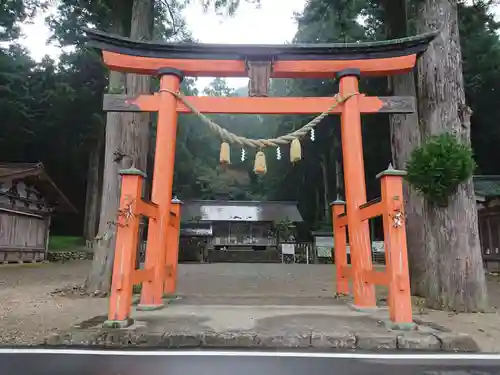 戸隠神社の鳥居