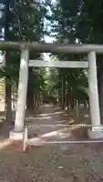 榎下神社の鳥居