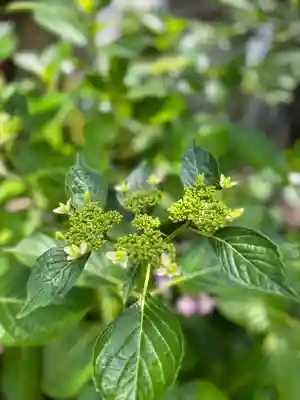 観音寺(兵庫県)