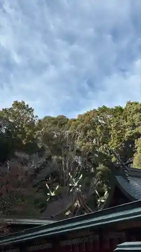 龍田大社(奈良県)