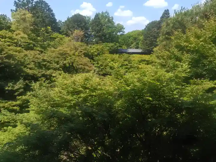 東福禅寺(東福寺)(京都府)