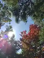 厚別神社(北海道)